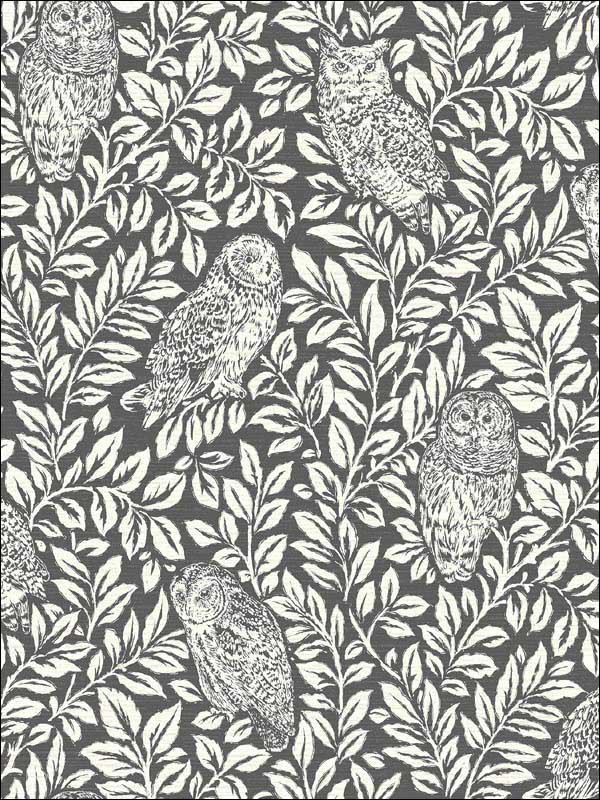 Parliament Owl fabric in brown color - pattern number 3115-12415 - by Chesapeake in the Farmhouse collection