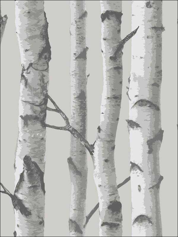 Mountain Birch Peel and Stick fabric in grey color - pattern number NU1694 - by Brewster in the NuWallpaper II collection