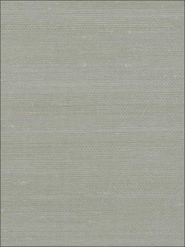 Grasscloth W3038 fabric in grey color - pattern number W3038.11.0 - by Kravet in the Elements Grasscloth collection
