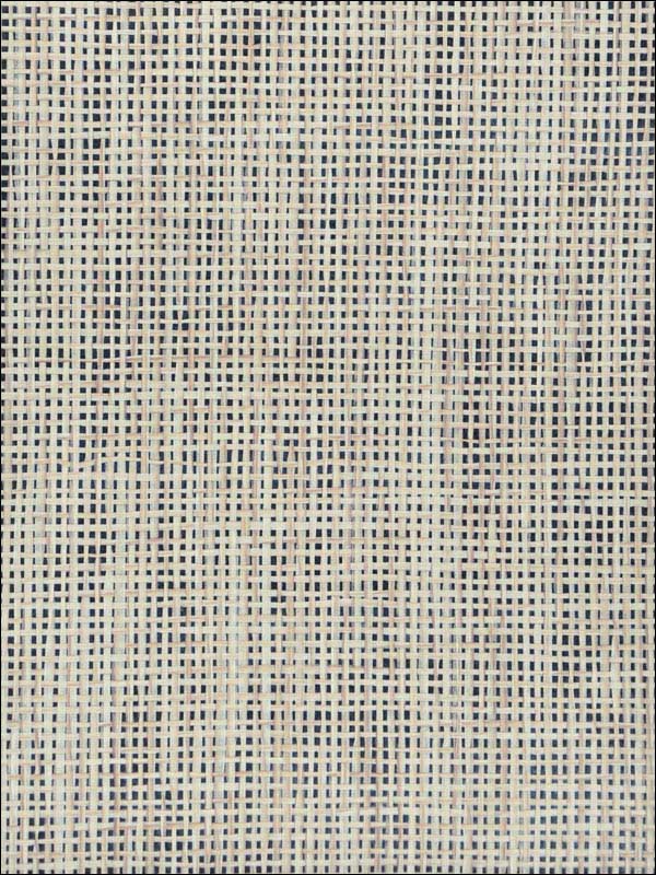 Grasscloth W3058 fabric in beige black color - pattern number W3058.16.0 - by Kravet in the Elements Grasscloth collection