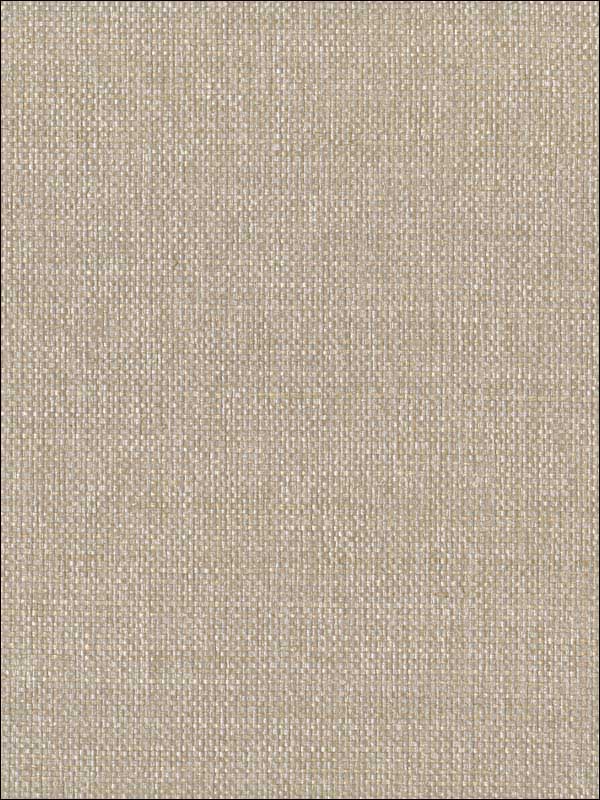 Rafia W3309 fabric in beige ivory neutral color - pattern number W3309.116.0 - by Kravet in the Elements Grasscloth collection
