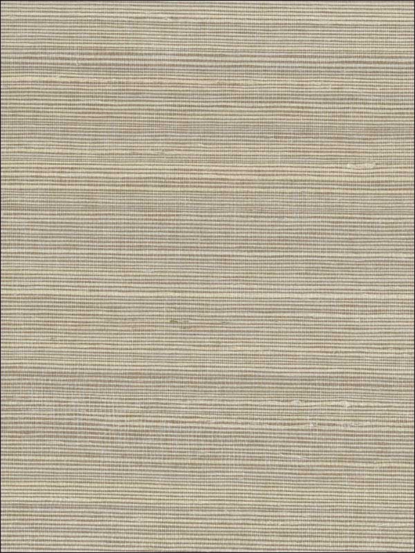 Grasscloth Sisal W3313 fabric in ivory taupe color - pattern number W3313.106.0 - by Kravet in the Elements Grasscloth collection