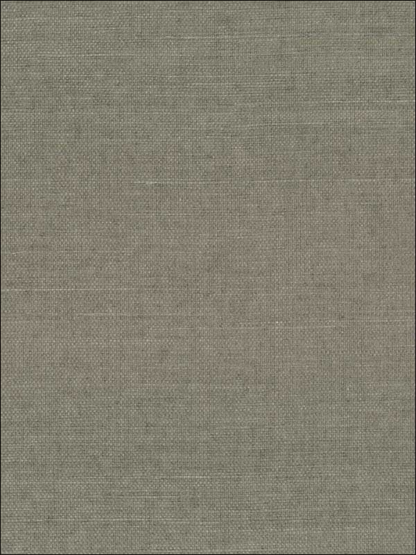 Grasscloth Sisal W3314 fabric in taupe grey color - pattern number W3314.106.0 - by Kravet in the Elements Grasscloth collection