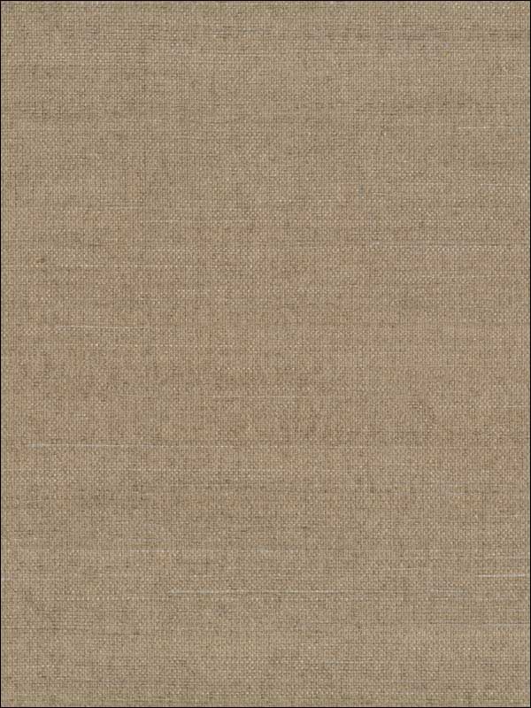 Grasscloth Sisal W3314 fabric in beige camel brown color - pattern number W3314.16.0 - by Kravet in the Elements Grasscloth collection