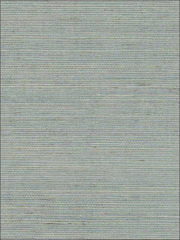 Grasscloth W3454 fabric in light blue light grey color - pattern number W3454.15.0 - by Kravet in the Elements Grasscloth collection