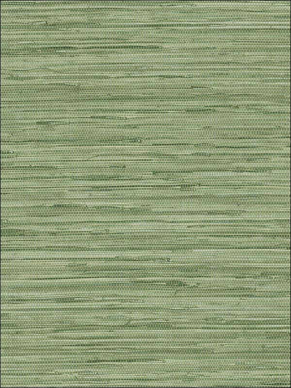 Grasscloth fabric in green color - pattern number MH36504 - by Patton Norwall in the Manor House by Norwall collection