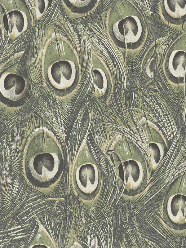 Peacock fabric in green color - pattern number MH36520 - by Patton Norwall in the Manor House by Norwall collection