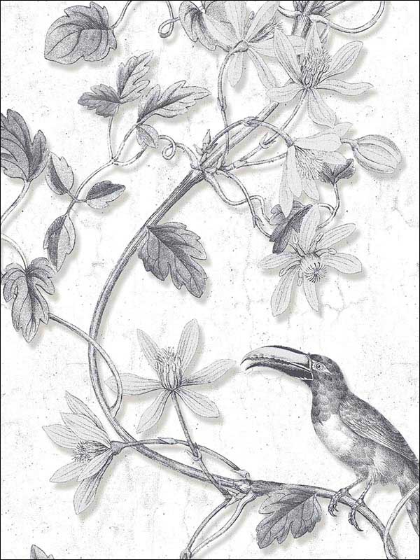 Toucan Toile fabric in black color - pattern number MH36529 - by Patton Norwall in the Manor House by Norwall collection