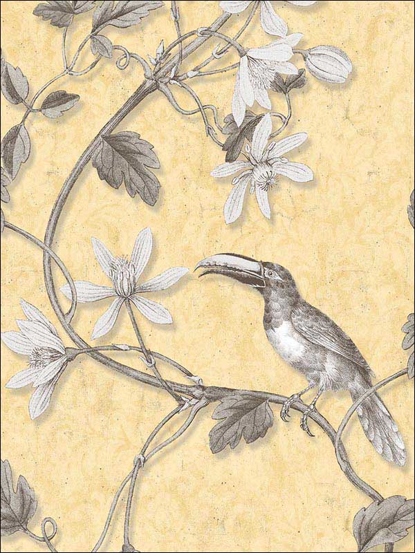 Toucan Toile fabric in yellow color - pattern number MH36531 - by Patton Norwall in the Manor House by Norwall collection