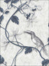 Toucan Toile fabric in navy grey color - pattern number MH36532 - by Patton Norwall in the Manor House by Norwall collection