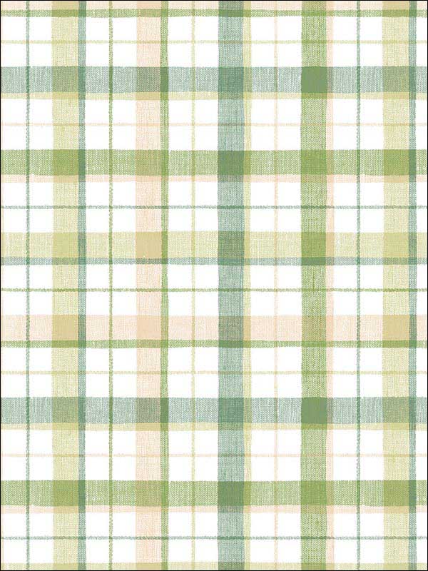 Linen Plaid fabric in green beige color - pattern number CK36626 - by Patton Norwall in the Creative Kitchens collection