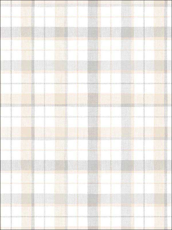 Linen Plaid fabric in grey beige color - pattern number CK36627 - by Patton Norwall in the Creative Kitchens collection