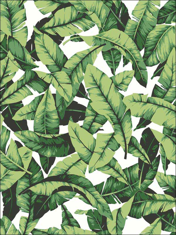 Palm Leaf Peel and Stick fabric in green color - pattern number RMK11045WP - by York in the Peel and Stick Wallpaper by York collection