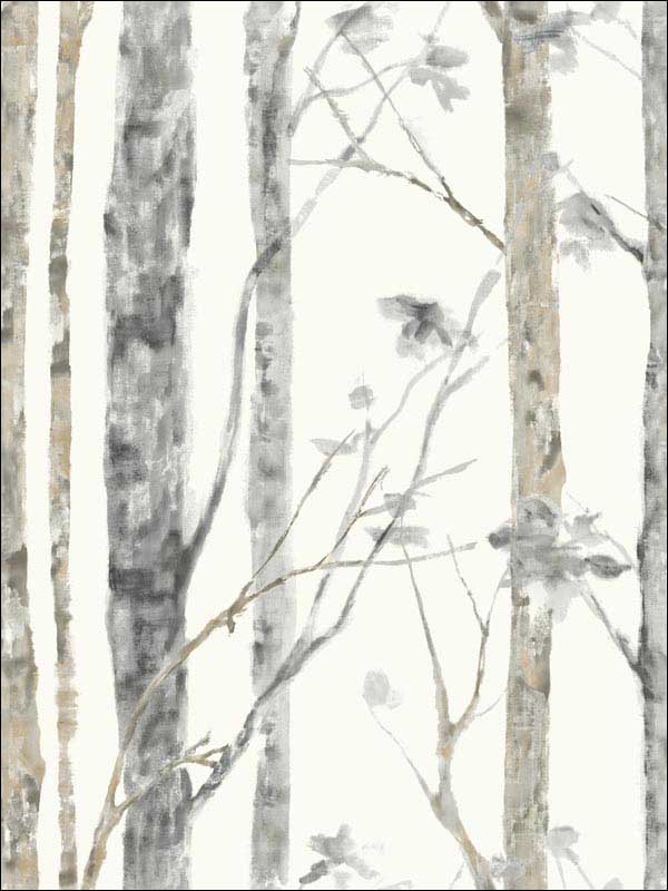 Birch Trees Peel and Stick fabric in off white and gray color - pattern number RMK9047WP - by York in the Peel and Stick Wallpaper by York collection