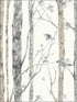 Birch Trees Peel and Stick fabric in off white and gray color - pattern number RMK9047WP - by York in the Peel and Stick Wallpaper by York collection