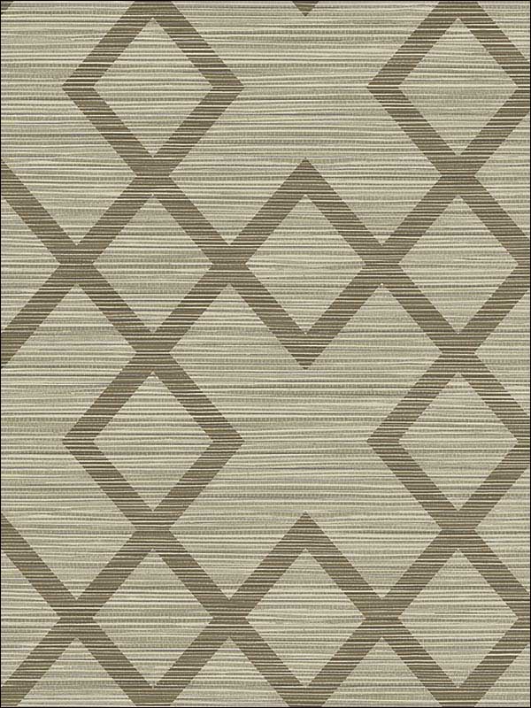 Vana Woven Diamond fabric in brown color - pattern number 2765-BW40406 - by Kenneth James in the GeoTex collection