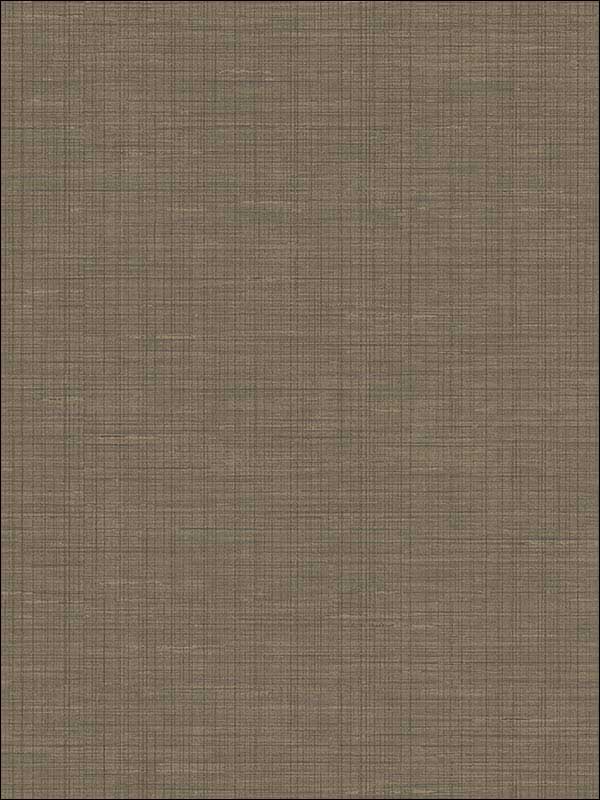 Alix Twill fabric in dark brown color - pattern number 2765-BW40606 - by Kenneth James in the GeoTex collection