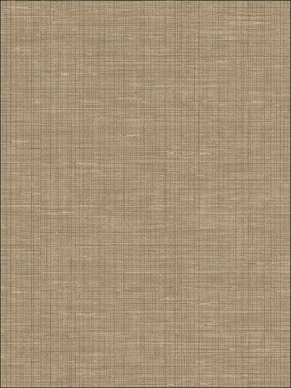 Alix Twill fabric in light brown color - pattern number 2765-BW40607 - by Kenneth James in the GeoTex collection
