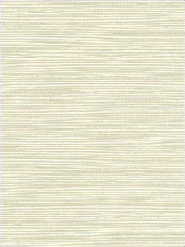 Bondi Grasscloth Texture fabric in cream color - pattern number 2765-BW40904 - by Kenneth James in the GeoTex collection