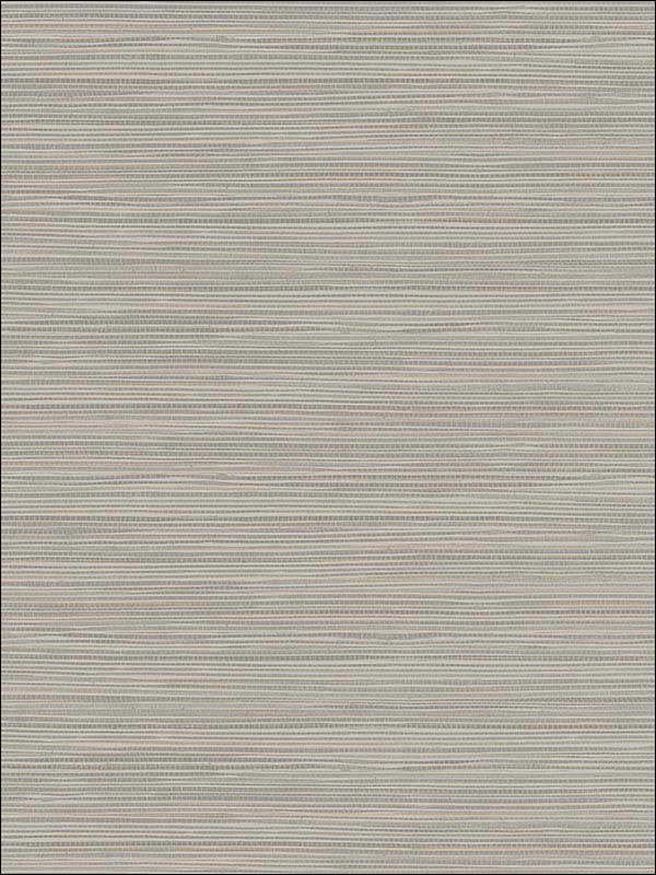 Bondi Grasscloth Texture fabric in grey color - pattern number 2765-BW40905 - by Kenneth James in the GeoTex collection