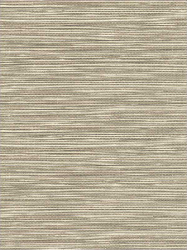 Bondi Grasscloth Texture fabric in beige color - pattern number 2765-BW40906 - by Kenneth James in the GeoTex collection