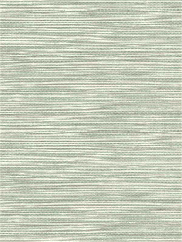 Bondi Grasscloth Texture fabric in seafoam color - pattern number 2765-BW40914 - by Kenneth James in the GeoTex collection