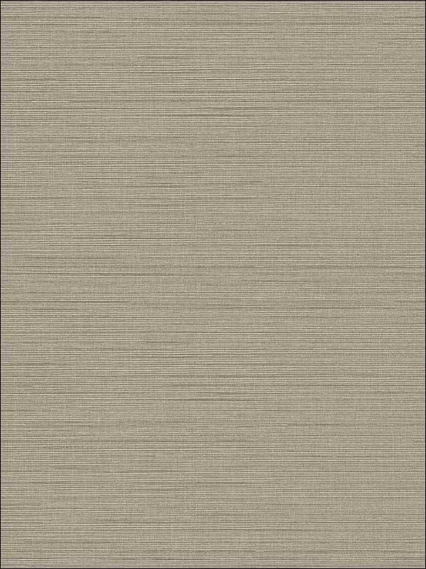 Agena Sisal wallpaper in taupe color - pattern number 2765-BW41009 - by Kenneth James in the GeoTex collection