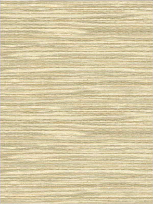 Bondi Grasscloth Texture fabric in wheat color - pattern number 2765-BW40915 - by Kenneth James in the GeoTex collection
