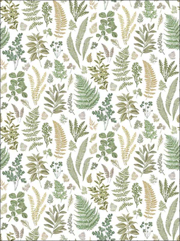 Britta Herbs 2 Panel mural in green color - pattern number 2821-SM25155 - by A Street Prints in the Folklore Nordic Style collection