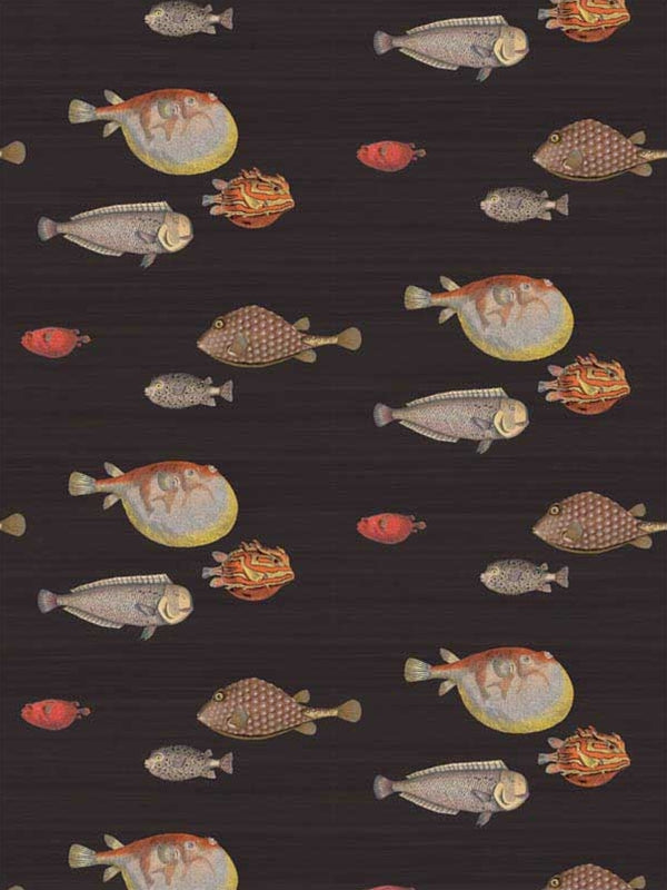 Acquario fabric in black and multi color - pattern number 97/10048.CS.0 - by Cole and Son in the Fornasetti III collection