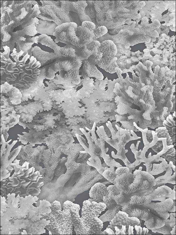 Coral fabric in grey dove charcoal black color - pattern number FH37503 - by Patton Norwall in the Farmhouse Living collection