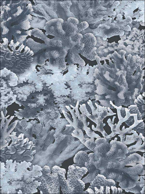 Coral fabric in navy navy blue blue color - pattern number FH37504 - by Patton Norwall in the Farmhouse Living collection