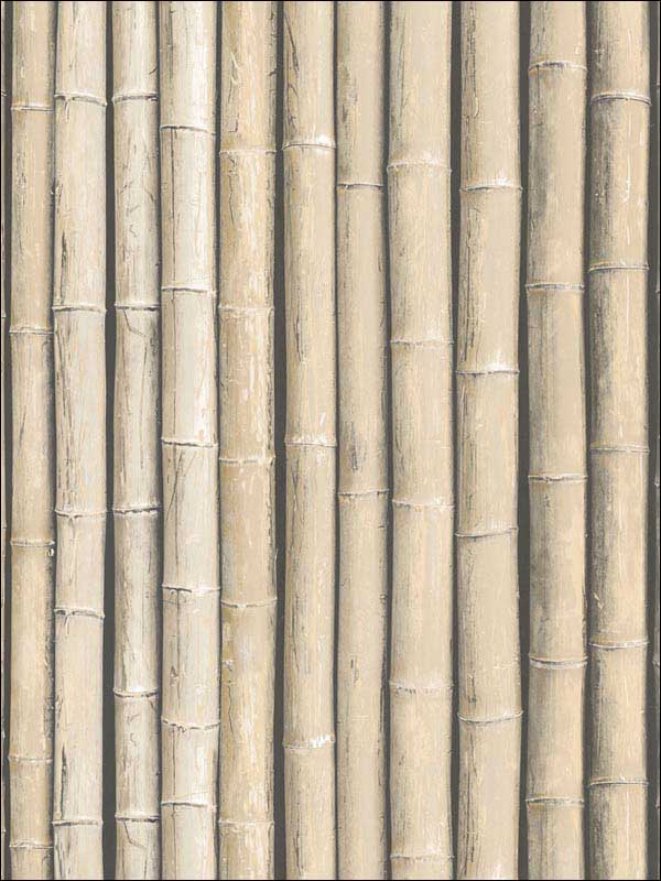 Bamboo wallpaper in brown color - pattern number G67940 - by Patton Norwall in the Organic Textures collection