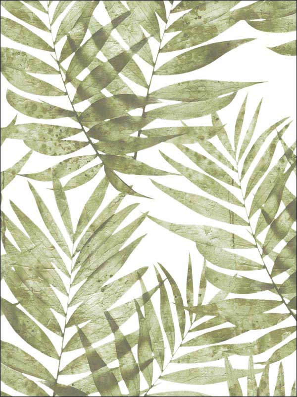Speckled Palm fabric in green color - pattern number G67944 - by Patton Norwall in the Organic Textures collection