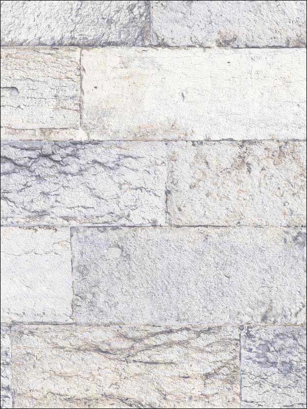 Organic Stone fabric in light grey color - pattern number G67967 - by Patton Norwall in the Organic Textures collection