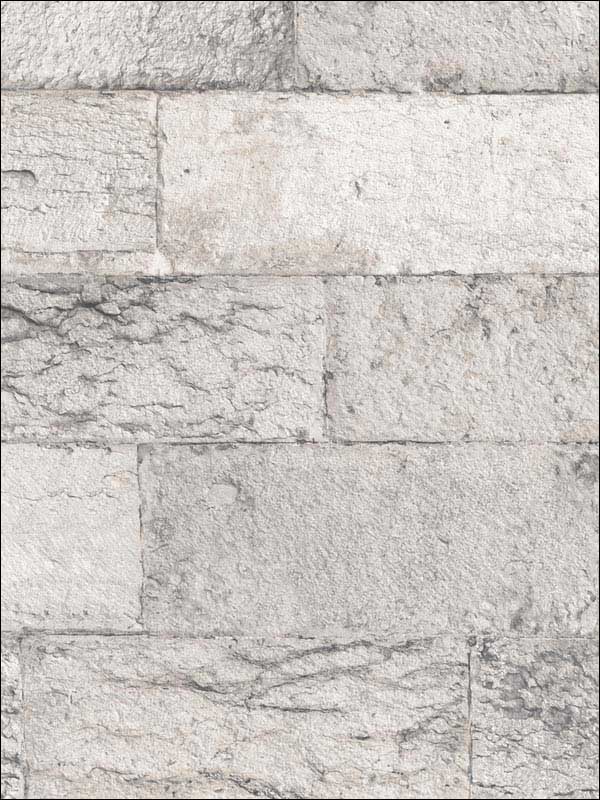 Organic Stone fabric in grey color - pattern number G67969 - by Patton Norwall in the Organic Textures collection