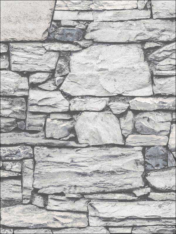 Organic Slate fabric in grey color - pattern number G67971 - by Patton Norwall in the Organic Textures collection