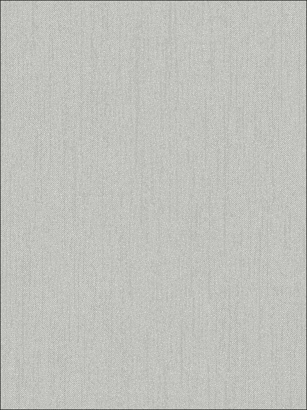 Organic Weave fabric in dark grey color - pattern number G67981 - by Patton Norwall in the Organic Textures collection