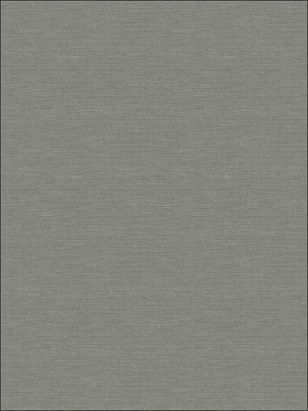 Coastal Hemp fabric in slate and shine color - pattern number BV30408X - by Seabrook in the Beach House collection
