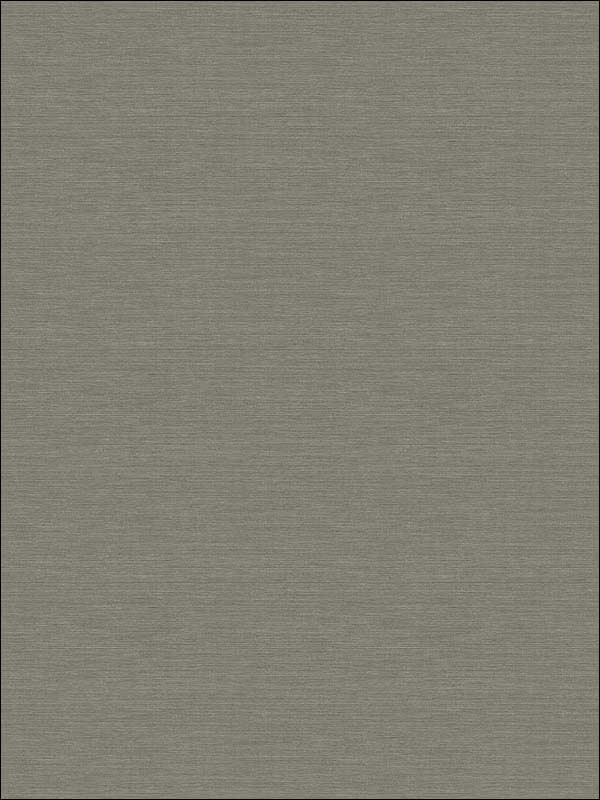 Coastal Hemp fabric in graphite color - pattern number BV30410X - by Seabrook in the Beach House collection