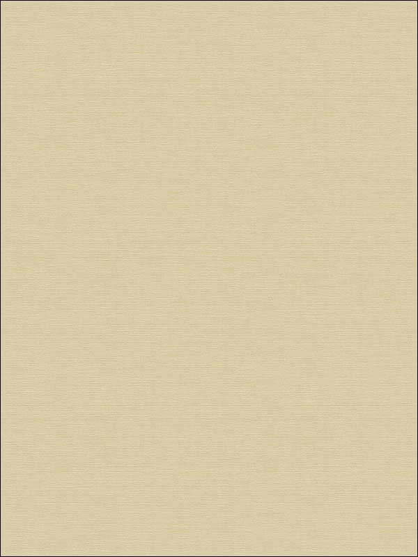 Coastal Hemp fabric in sandy shores color - pattern number BV30413X - by Seabrook in the Beach House collection