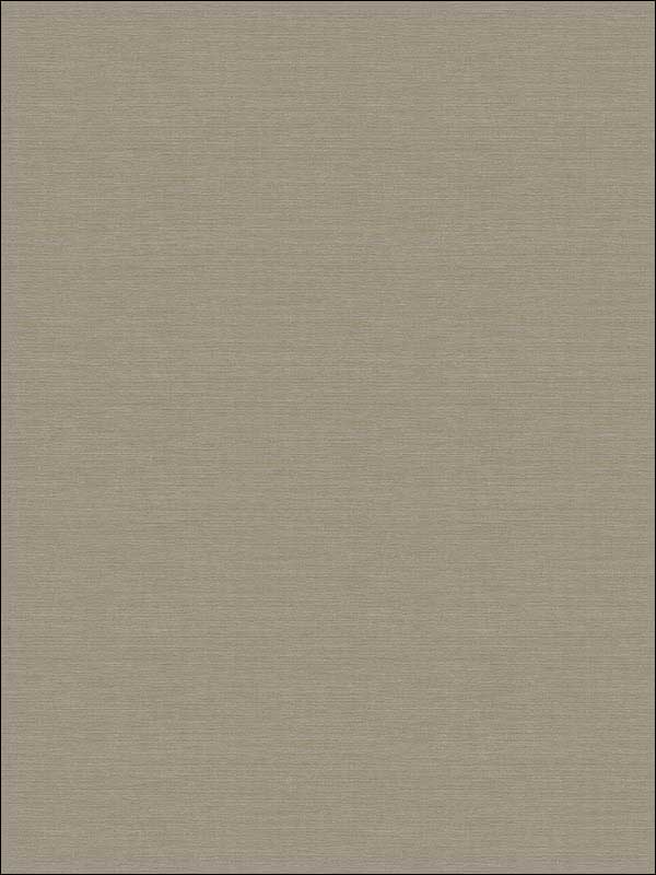 Coastal Hemp fabric in pavestone color - pattern number BV30416X - by Seabrook in the Beach House collection