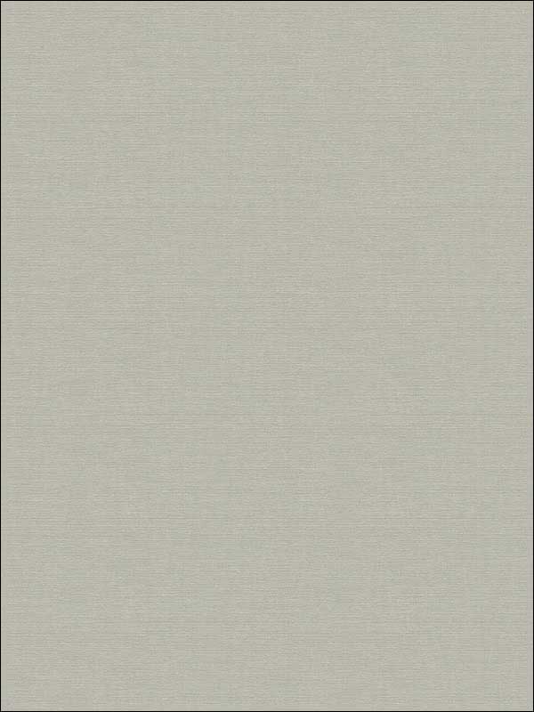 Coastal Hemp fabric in downtown color - pattern number BV30418X - by Seabrook in the Beach House collection