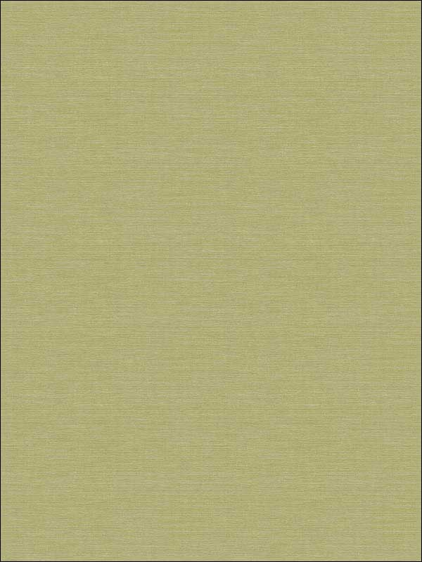 Coastal Hemp fabric in lime moss color - pattern number BV30424X - by Seabrook in the Beach House collection