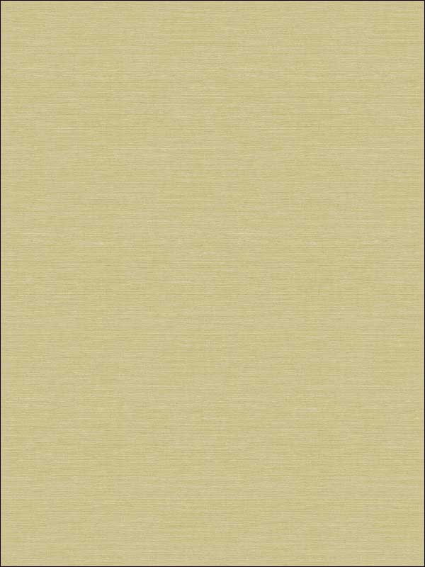 Coastal Hemp fabric in aloe color - pattern number BV30454X - by Seabrook in the Beach House collection