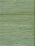 Jute fabric in green color - pattern number NA304 - by Seabrook in the Natural Resource Seabrook collection