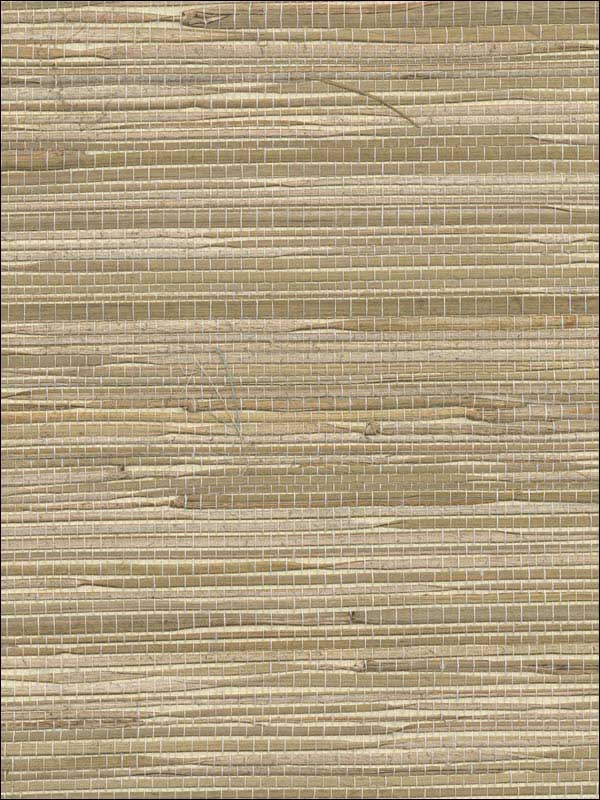 Bataan Grasscloth fabric in wheat color - pattern number 2829-65621 - by A Street Prints in the Fibers collection