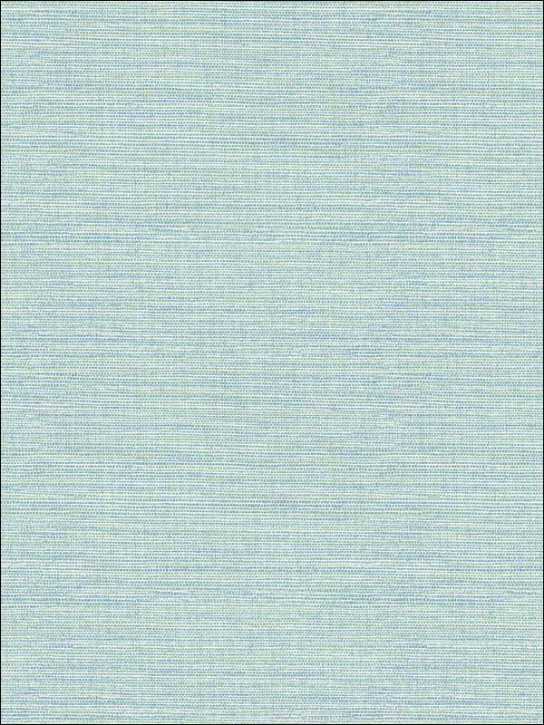 Agave Bliss Faux Grasscloth fabric in teal color - pattern number 2901-24282 - by A Street Prints in the Perennial collection