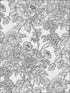 Birds of Paraside Breeze Floral fabric in black color - pattern number 2901-25414 - by A Street Prints in the Perennial collection
