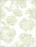 Folia Floral fabric in light green color - pattern number 2901-25419 - by A Street Prints in the Perennial collection